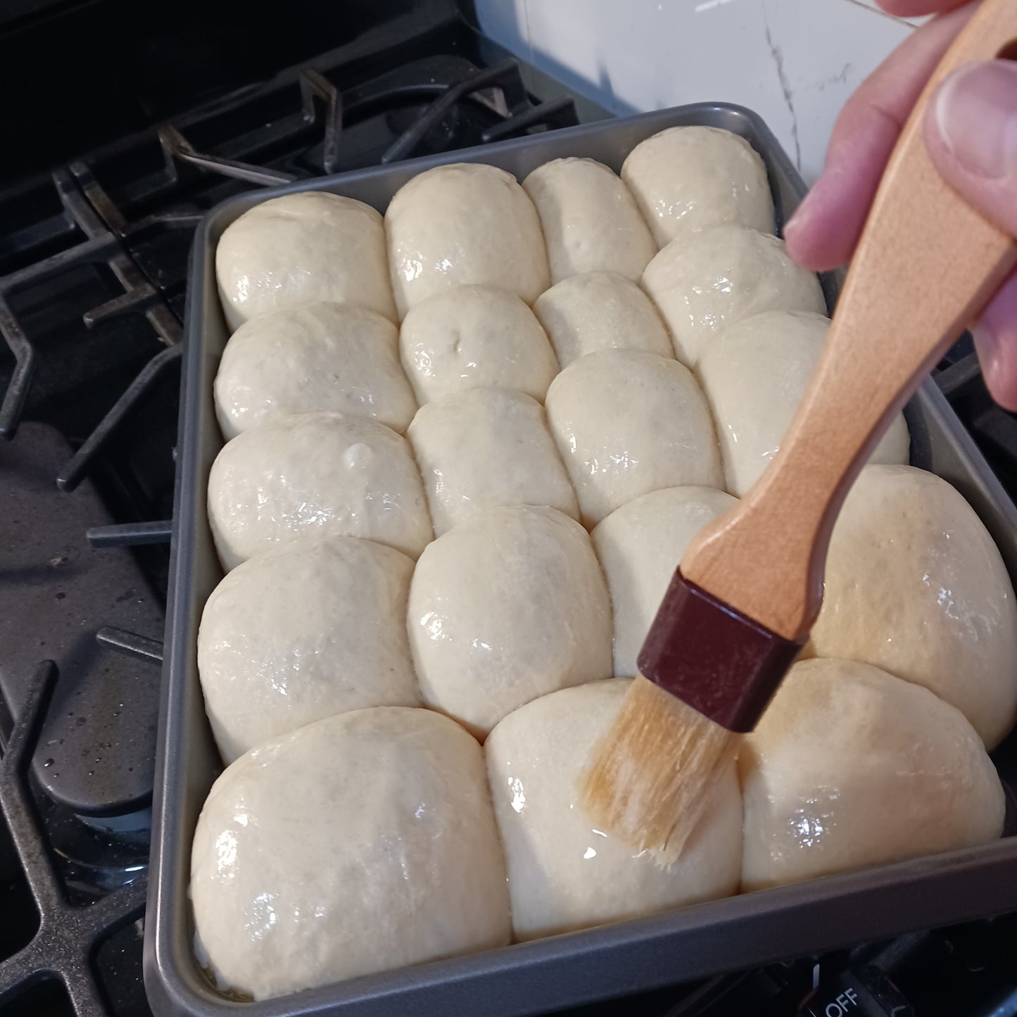 Dinner Rolls