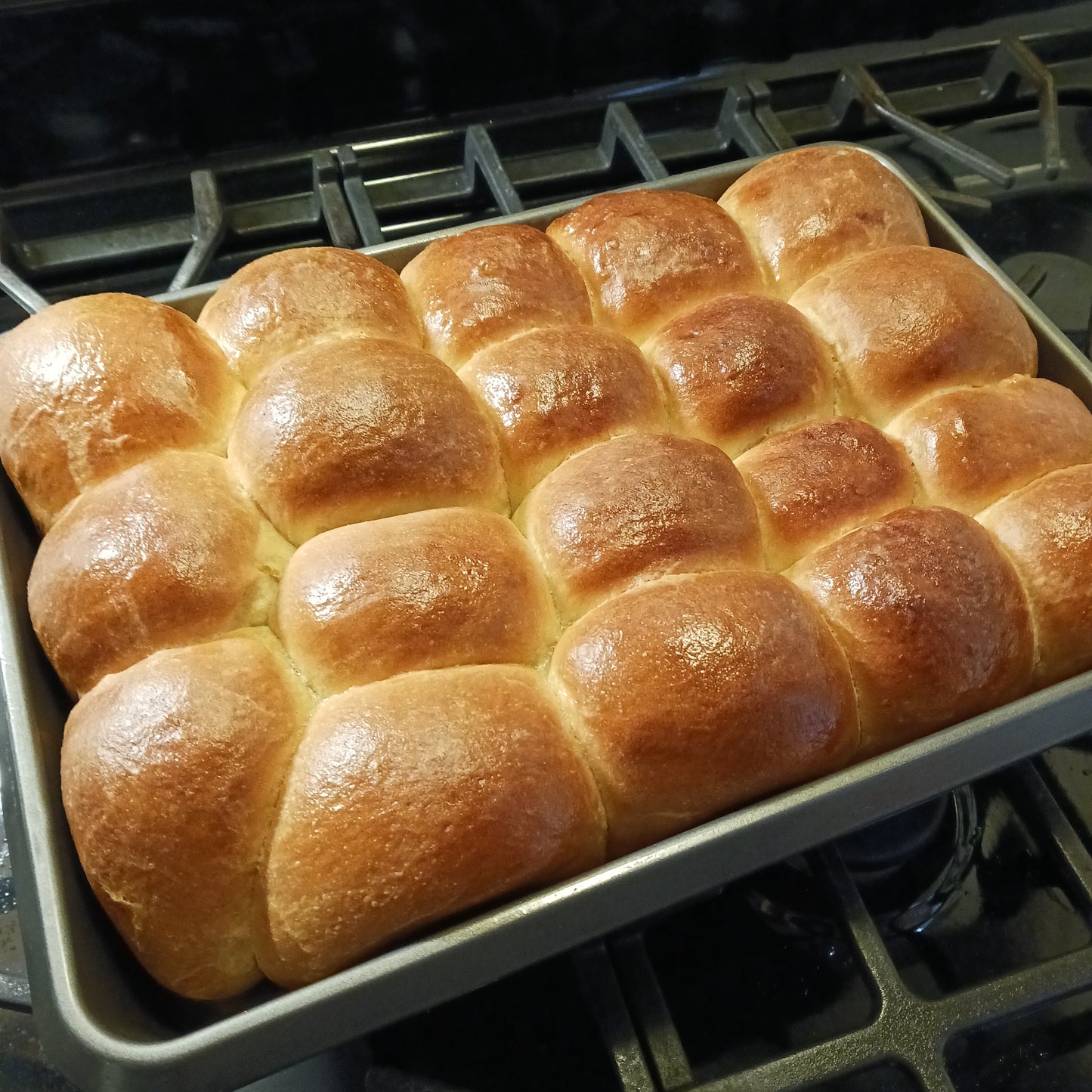 Dinner Rolls