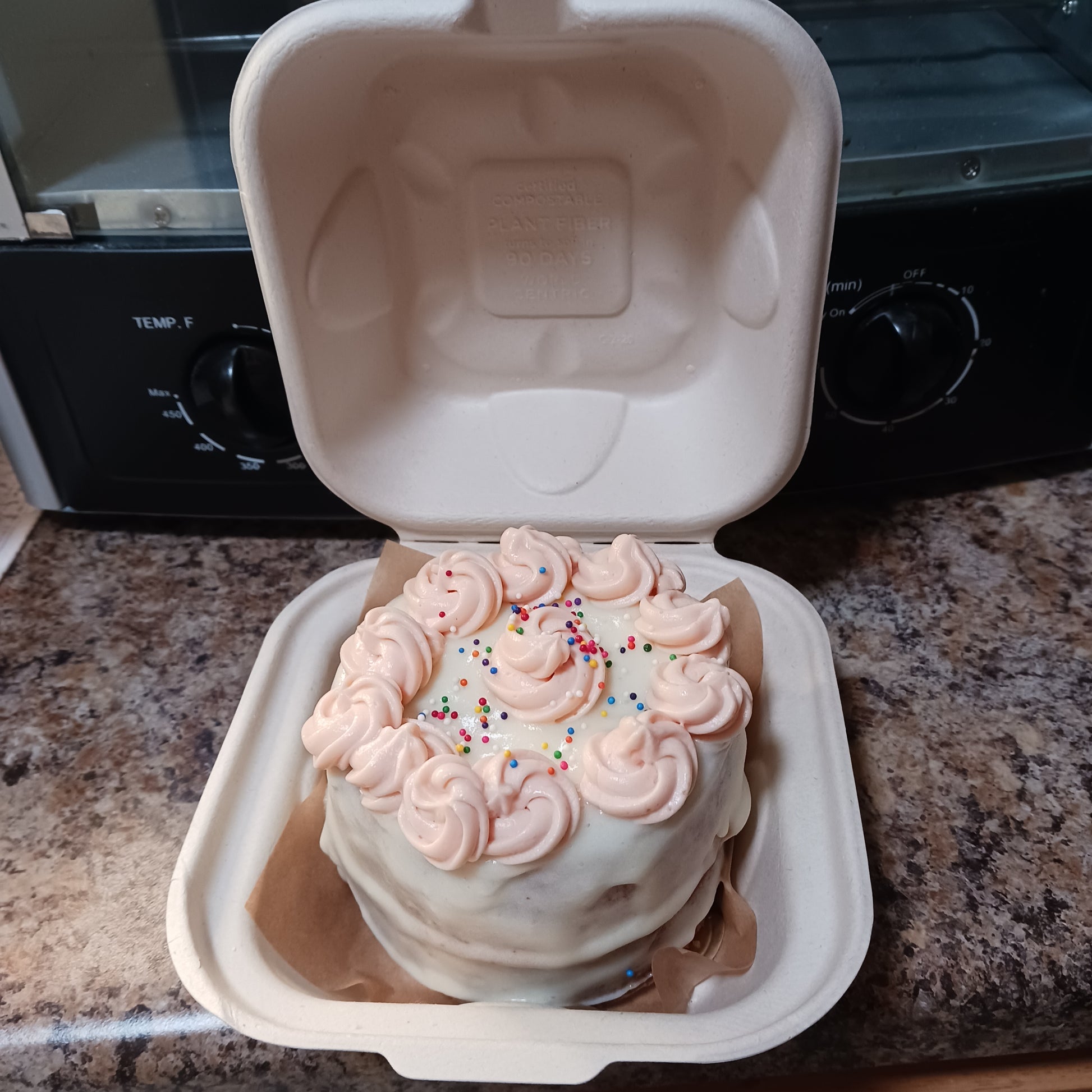 Mini Cake 02